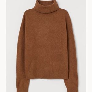 Knit Turtleneck Sweater